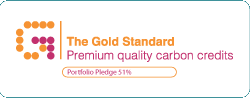 The Gold Standard